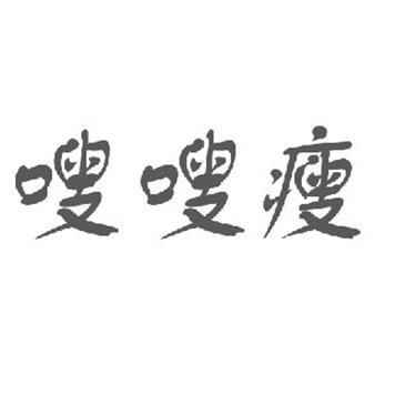 嗖嗖瘦第5类医药商标注册状态查询与医药信息分析